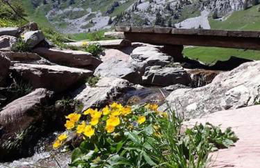 La Martichouette Chambres dans Maison vue sur Lac - Photo 35