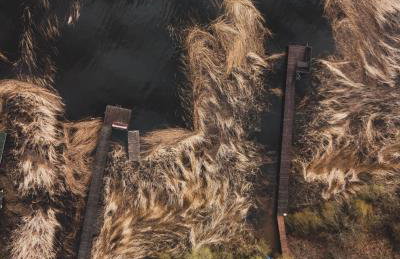 Jarzębinowa - artystyczny dom na Podlasiu - Foto 56