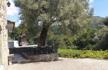 Quinta da Vinha Velha - Foto 27