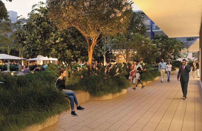 The Grove - Photo 80