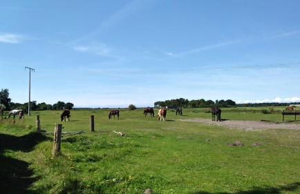 Ferienhäuschen - Foto 35