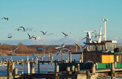 FeWo an der Ostsee Nr. 2 - Foto 7