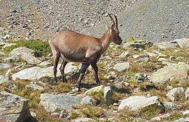Les Hauts du Roux - Photo 8