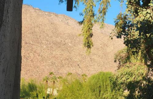 Palm Springs Unique Central Condo - Foto 19