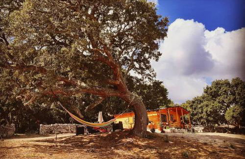 Eco Lodge nella natura Con Piscina privata "La Grande Quercia" - Foto 27