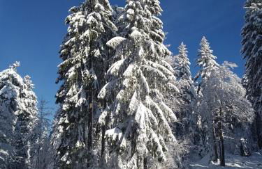 Ferienwohnung Sonnenblick - Foto 21