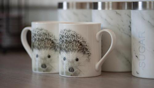 Hedgehog Cottage - Foto 2