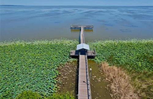 FunTropicalTinyHomeGolfCartLake - Foto 42