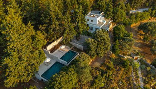 Forest View Villas - Photo 1