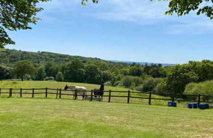 Oak Tree Lodge - A Romantic Getaway- Finlake Resort & Spa - Devon - Foto 30