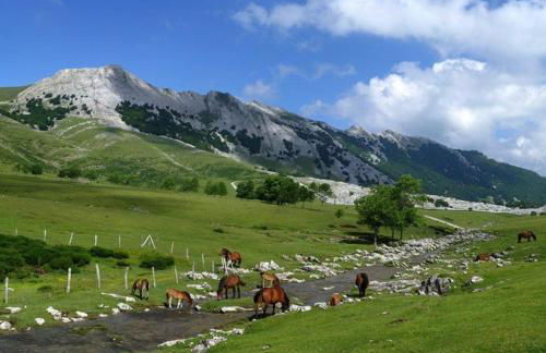 Acogedor apartamento parque Aizkorri-Aratz a 45 min San Sebastian - Foto 24