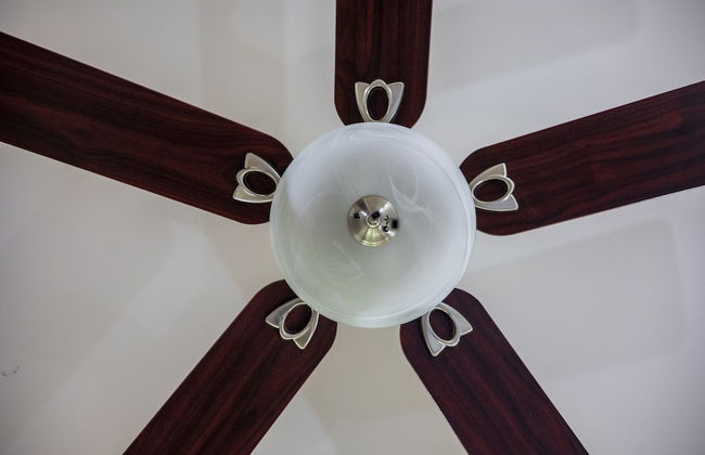 Rancho Haas - Photo 36