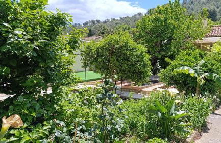 Studio climatisé-terrasse-Netflix-jardin à 10 min de Cassis - Foto 11