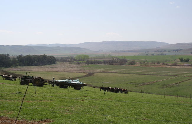 Rivermead - Photo 13