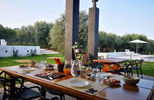 Gallo Fino - Foto 37