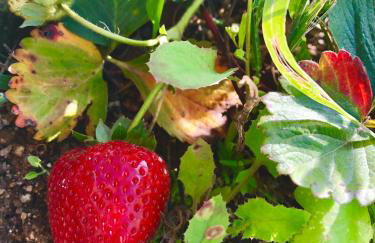 Casa da Quinta da Prelada Simão - Foto 70