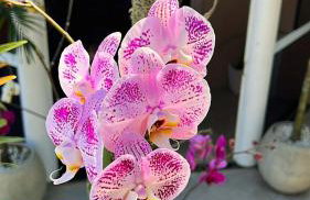 Casarão Itaipuaçu-Marica - Foto 51