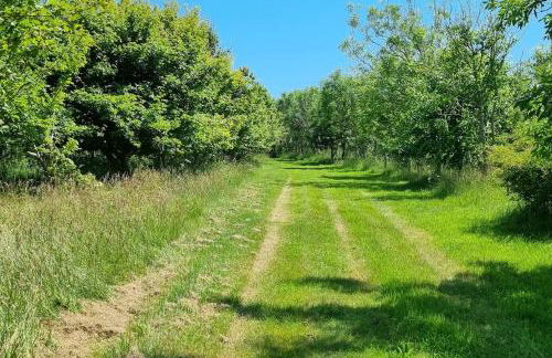 Hallegan Annexe with Private Garden and Woodland-Sofa Bed Only - Foto 20