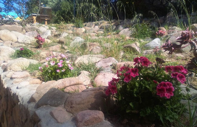 Il Locandiere - Foto 48