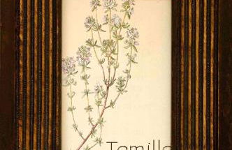 Casa Rural La Botica - Foto 51