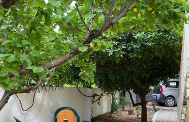 Spiti Eutychia - Foto 11