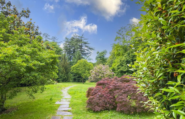 La Verbanina 2 in Ghiffa - Foto 24