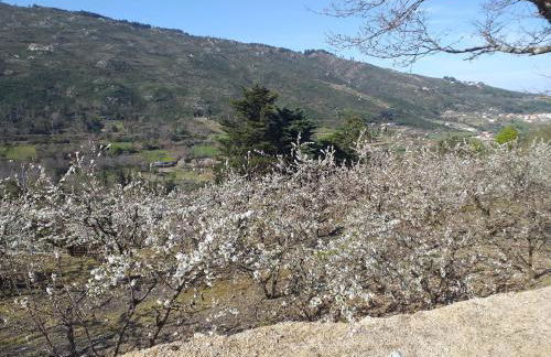 Quinta da Timpeira - Foto 33