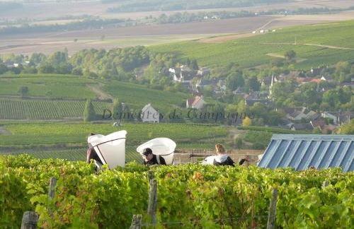 Maison Les Fossiles - Foto 9