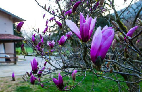 Cascina Canale - Foto 44