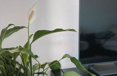 Casa Amar- Vista panorâmica - Foto 9