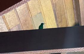 Casa de campo com muito verde e paz, 2 quartos, Wi-Fi, churrasqueira, deck, trilha - Foto 17