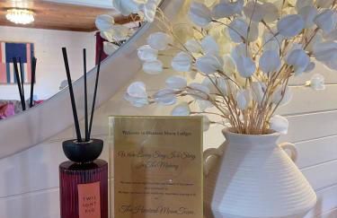 Otter 2 Lodge - Private Hot Tub- Dog Friendly - Wiltshire-Bristol - Foto 3