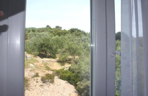 Apartments Vila Mileva - Foto 61