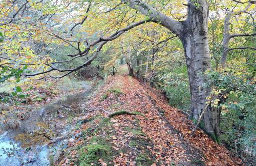 Ryan's Cottage - Photo 70