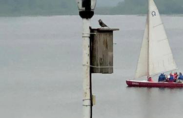 Mazury na Śląsku - Dom Wakacyjny z basenem - Foto 61