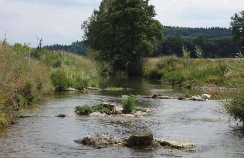 Apartment Apartment - Monteure by Interhome - Foto 13