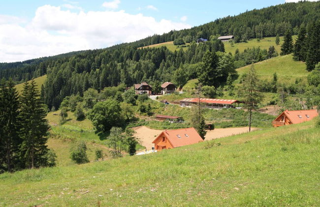 Detached Wooden Chalet in Liebenfels / Carinthia Near the Simonhohe ski Area - Foto 53