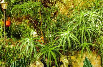 Quinta O Refúgio - Photo 52