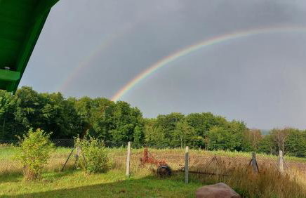 Zielony Domek - Foto 11