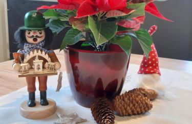 Charlys Bleibe Gastunterkunft inmitten der Natur - Foto 50