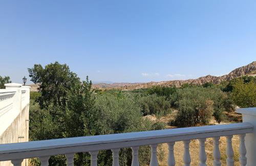 The terraces - Foto 11