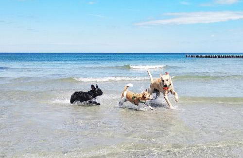 Meerblick Haushälfte - Foto 21