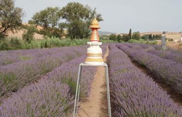 Casa storica con terrazzo - Foto 19