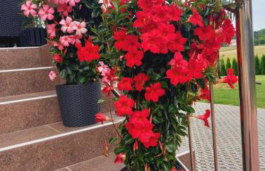 Ojcowski Las - Foto 38