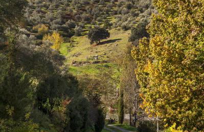 Los Pozos de la Nieve - Photo 72