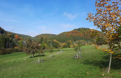Ferienwohnung Im Eyachtal - Foto 21