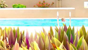 Comfort in Playa las Americas - Photo 2, Garden