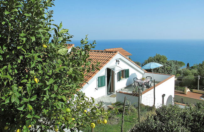 Simone (FLG130) - Foto 5