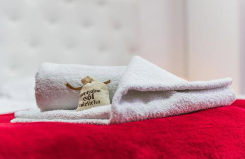 Apartament Solny Wieliczka Centrum 5 - Foto 3