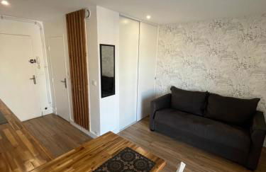 Joli studio une pièce entièrement rénové et équipé classé 2 étoiles - Foto 8